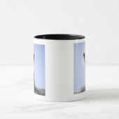 Naher hoher Ostrichkopf Tasse (Zentrum)