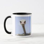 Naher hoher Ostrichkopf Tasse (Links)