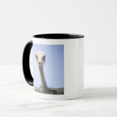 Naher hoher Ostrichkopf Tasse (Vorderseite Links)