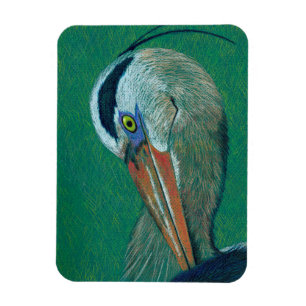 Naher hoher Reiher Magnet