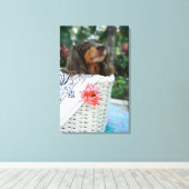 Naher Hund einer Dackel, der in einem Korb sitzt Leinwanddruck (Insitu (Holzboden))