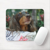 Naher Hund einer Dackel, der in einem Korb sitzt Mousepad (Mit Mouse)