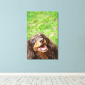 Naher Hund einer Dackel Leinwanddruck (Insitu (Holzboden))