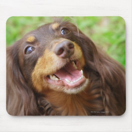 Naher Hund einer Dackel Mousepad (Vorne)