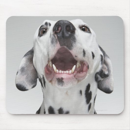 Naher Hund eines Dalmatiners Mousepad (Vorne)