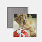 Naher Hund Magnet (Vorderseite/Rückseite)