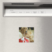 Naher Hund Magnet (In Situ (Geschirrspüler))