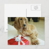 Naher Hund Postkarte (Vorne/Hinten)