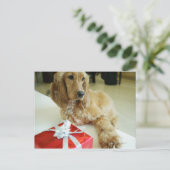Naher Hund Postkarte (Stehend Vorderseite)