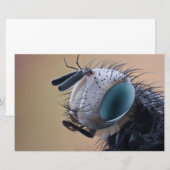 Naher Insektenkopf Briefpapier (Vorne/Hinten)