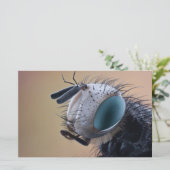 Naher Insektenkopf Briefpapier (Stehend Vorderseite)