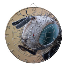 Naher Insektenkopf Dartscheibe