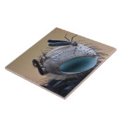 Naher Insektenkopf Fliese (Seite)