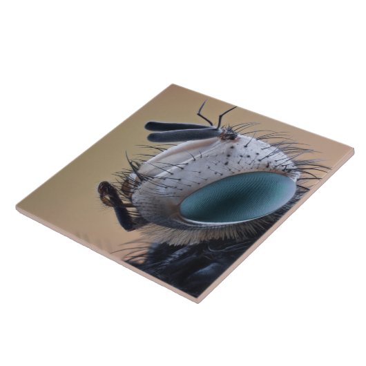 Naher Insektenkopf Fliese (Seite)