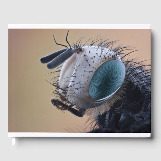 Naher Insektenkopf Gästebuch (Vorderseite)