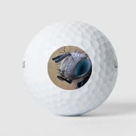 Naher Insektenkopf Golfball