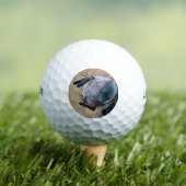 Naher Insektenkopf Golfball (Insitu T-Shirt)
