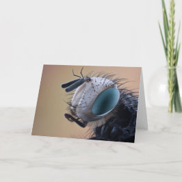 Naher Insektenkopf Karte