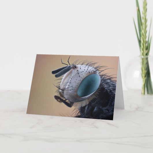 Naher Insektenkopf Karte (Vorderseite)