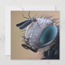 Naher Insektenkopf Karte