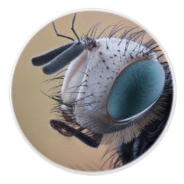 Naher Insektenkopf Keramikknauf