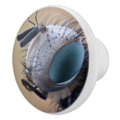 Naher Insektenkopf Keramikknauf (Rechts)