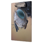 Naher Insektenkopf Klemmbrett (Links)