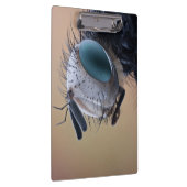 Naher Insektenkopf Klemmbrett (Rechts)