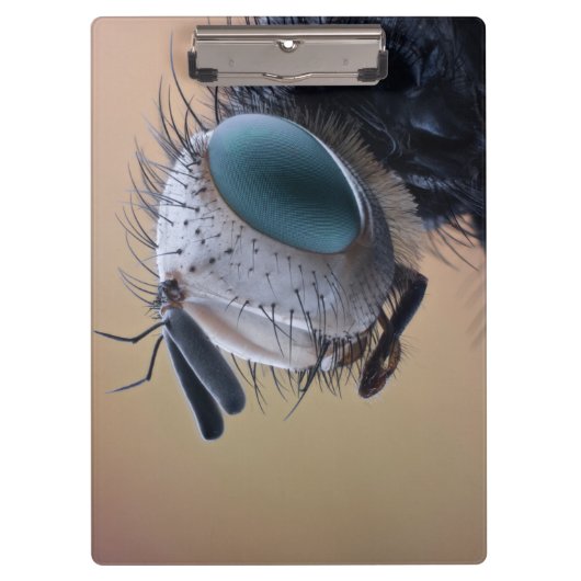 Naher Insektenkopf Klemmbrett (Vorderseite)
