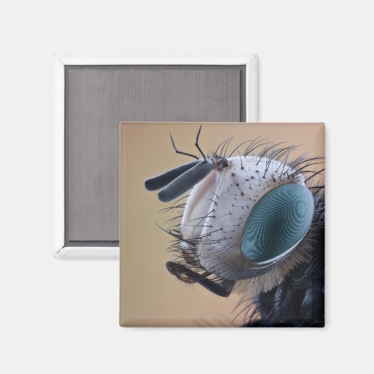 Naher Insektenkopf Magnet (Vorderseite/Rückseite)