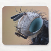 Naher Insektenkopf Mousepad (Vorne)
