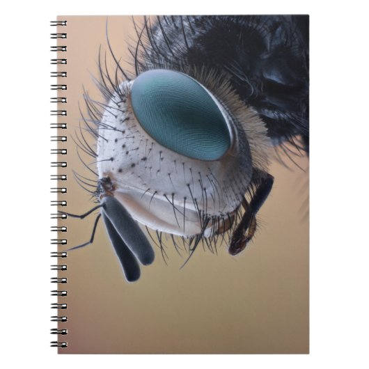 Naher Insektenkopf Notizblock (Vorderseite)