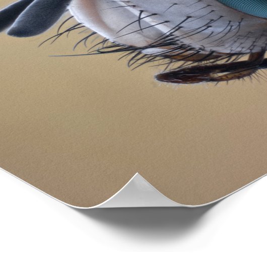 Naher Insektenkopf Poster (Ecke)