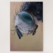 Naher Insektenkopf Puzzle (Vertikal)