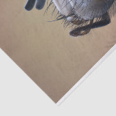 Naher Insektenkopf Seidenpapier (Ausschnitt)