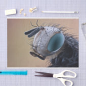 Naher Insektenkopf Seidenpapier (Handwerk)