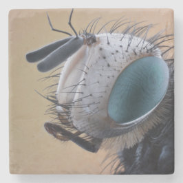 Naher Insektenkopf Steinuntersetzer