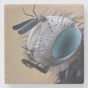 Naher Insektenkopf Steinuntersetzer