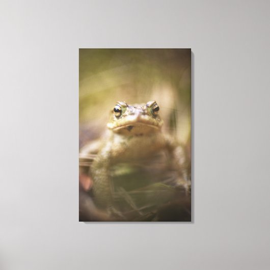 Naher Keks Leinwanddruck (Vorderseite)