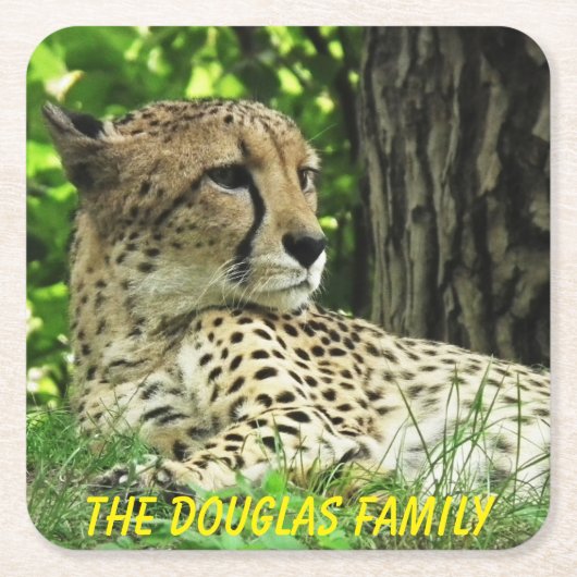 Naher Leopard Rechteckiger Pappuntersetzer (Vorderseite)