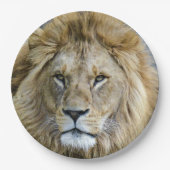 Naher Löwenkopf Pappteller (Vorderseite)