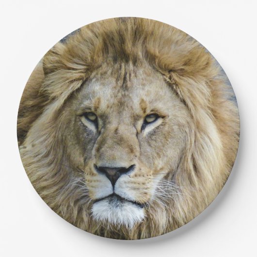 Naher Löwenkopf Pappteller (Vorderseite)