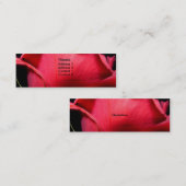 Naher, Mini Visitenkarte (Vorne/Hinten)