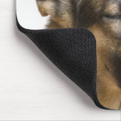 Naher Nachwuchs eines deutschen Hirten, der seine Mousepad (Ecke)