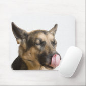Naher Nachwuchs eines deutschen Hirten, der seine Mousepad (Mit Mouse)