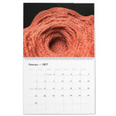 Naher NBO-Mitgliederkalender #1 Kalender (Feb 2027)