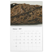 Naher NBO-Mitgliederkalender Nr. 2 Kalender (Feb 2027)