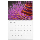 Naher NBO-Mitgliederkalender Nr. 2 Kalender (Mär 2027)