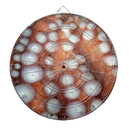 Naher Oktopus fallen Dartscheibe (vorne)
