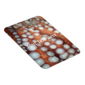 Naher Oktopus fallen Magnet (Rechte Seite)